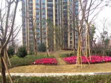 出门地铁 出门龙湖天街 出门公园