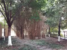 南滨路双地铁,正规三室带外阳台,毛坯方便装修