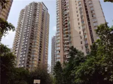 南坪商圈正规两房,交通便利,户型方正,采光好。