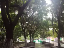 南坪 天龙城市花园二房70万