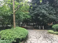 加州新牌坊 加州城市花园四房167万