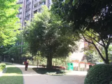 富州新城 3室1厅 东南