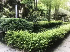 观音桥 东和城二房108万