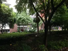 新牌坊,廊桥花园+跃层户型+诚心出售,业主住家精装修