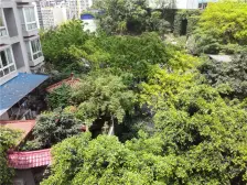 南坪 天龙广场三期一房42万