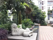 洋房社区,顶跃带露台的洋房,业主诚心出售