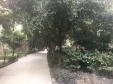 望江阁 3室2厅 南