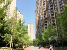 2梯3户,3房两卫朝南,精装修,拎包入住