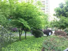 富州新城 3室2厅 东南