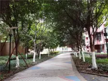 阳光南滨 2室1厅 东南