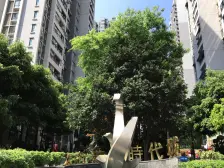 轻轨 地铁 盘龙 杨家坪随时看房 安心出售