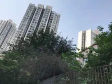 石坪桥 阳光心悦 精装大三房 交通便利