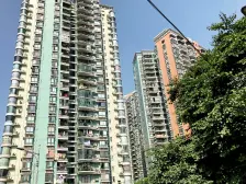 石坪桥 金桥彼岸(桃景阁)一房