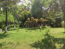 龙头寺 公园 红土地 轻轨 6 10号线 吉安园 视野好