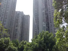 龙头寺 吉安园龙头寺小区四房146万