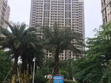 保利生态城2期,温馨大两房,满5唯一,看房方便