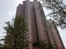 万达商圈+龙湖天街+双轻轨+住家装修+看房方便