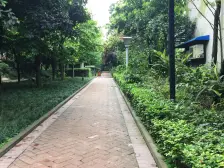 半山七号 1室1厅 北