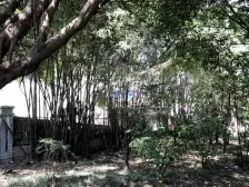 石坪桥 阳光心悦 简装大三房双卫 楼层好 随时看房