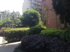 加州新牌坊 香山花园A区三房150万