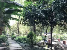 采光好 房子虽小 却也容纳一个家