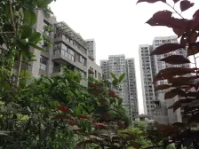 半山公馆精装大2房,小区环景优美;拎包入住。