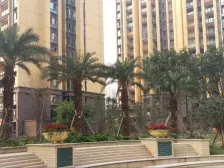 蔡家地铁站 龙湖天街 精装房 拎包入住