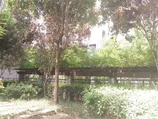 观音桥九街(6号线10号线)七彩空间精装两室