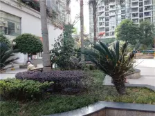 户型方正 采光好 阳台朝南 可随时看房