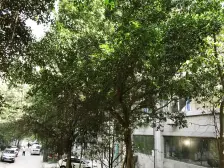 100米是公交车站,永辉,大型菜市场,配套齐全