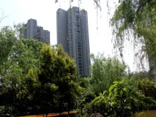 龙头寺 吉安园龙头寺小区五房