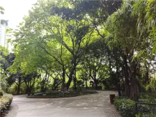 南坪东路 海棠晓月B区一房58万