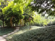 品质小区,封闭式管理24小时安保,采光好,视野无遮挡