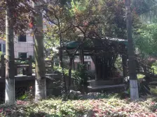 新牌坊,装修小两房,朝中庭,近公交和商场