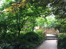 逸静花开香地 2室1厅 西