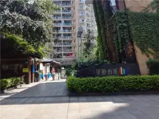 南坪商圈+贝迪新城+步行街+双轻轨+配套齐全