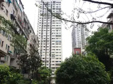 半山七号 3室2厅 南 北