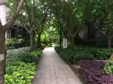 背靠烟灯山天然氧吧,万达广场,品质洋房社区