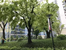 杨家坪商圈 正规2房 清水房 可按个人喜好装修