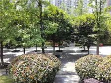 装修 保持好总高六层 2公里南滨区洋墅