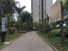 龙溪镇 聚信广场二房82万