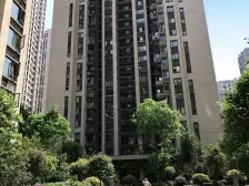 石坪桥保利品质精装三房,朝南户型,格局通透采光俱佳