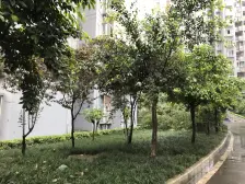 杨家坪商圈业主安心出售价格可谈看房找我