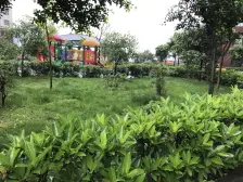 轻轨站 清水两房高层 业主诚心出售