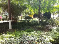 南坪 万达广场银邸三房