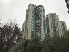 杨家坪步行街精装大四房双卫大阳台看全景动物园视野好