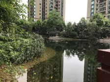 杨家坪 恒大绿洲四房172.5万