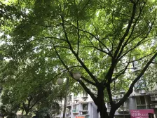 杨家坪商圈旁,出门公交站。正规两房,住家安静