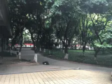 龙溪镇 新城绿园三房