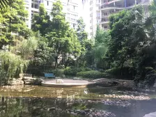 江北嘴 正两室 小区高绿化 出行便利 户型方正 看中庭